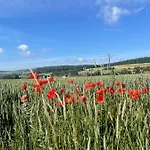 Apartamento Luises Ferienglück *