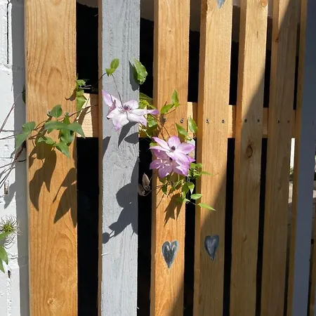 Luises Ferienglueck Vernawahlshausen