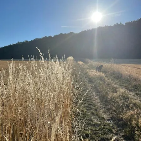 Luises Ferienglueck