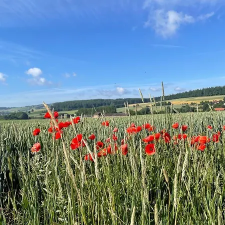 Daire Luises Ferienglueck *