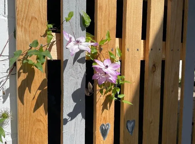 Luises Ferienglueck Vernawahlshausen