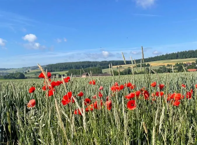 Apartment Luises Ferienglueck *